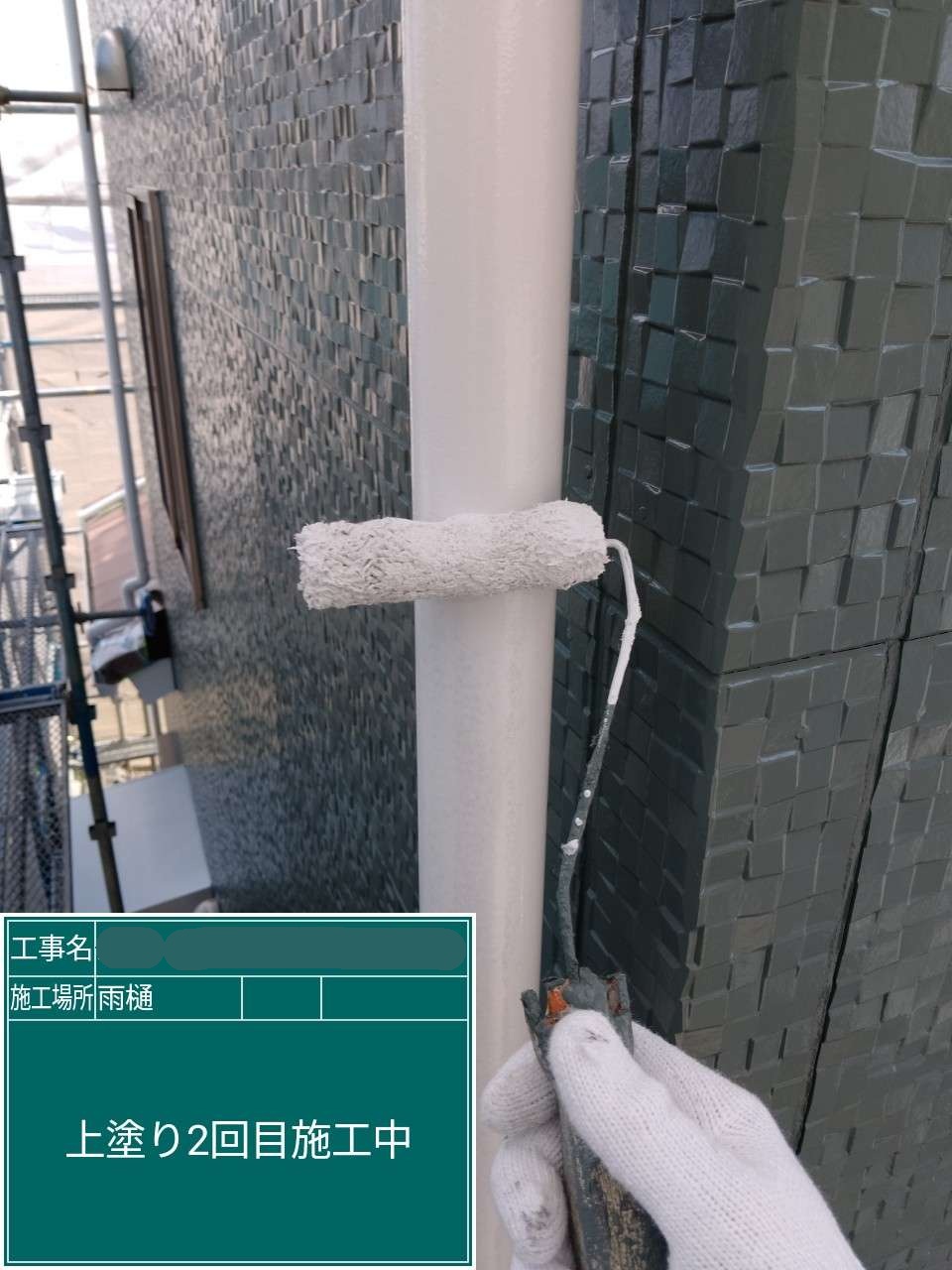 竪樋 上塗り