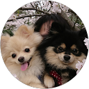 緑区のS profile picture