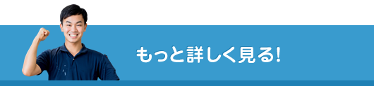 もっと詳しく見る