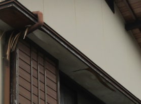 軒天ベニヤ張替行いました!