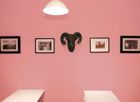 内装用塗料のご紹介♪|岡崎市・西尾市の外壁塗装専門店カナルペイント