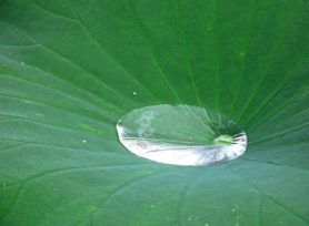 艶消し塗料ビーズコートシリーズのご紹介♪|岡崎市・西尾市の外壁塗装専門店カナルペイント