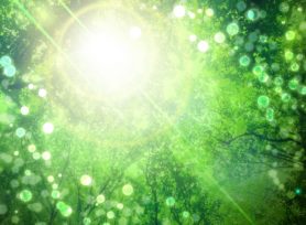 光触媒塗料のメリット・デメリット|岡崎市・西尾市の外壁塗装専門店カナルペイント