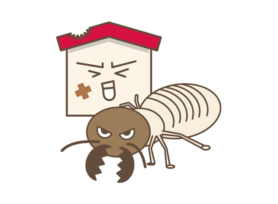 シロアリが発生するのはなぜ?|岡崎市・西尾市の外壁塗装専門店カナルペイント