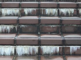 エフロレッセンスとは?|岡崎市・西尾市の外壁塗装専門店カナルペイント