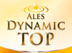 アレスダイナミックTOPのご紹介♪|岡崎市・西尾市の外壁塗装専門店カナルペイント