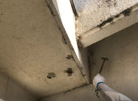 【動画付き】外壁浮きの診断方法とは？｜岡崎市・西尾市の外壁塗装専門店カナルペイント